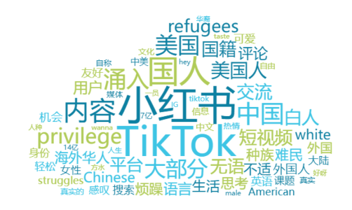 事件舆评丨tiktok难民涌入小红书,有哪些机遇和挑战?
