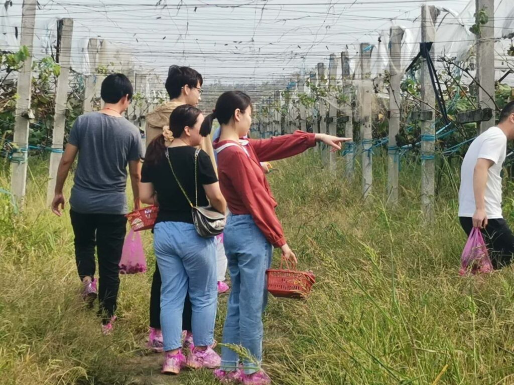 未来由你,博约启航 | 安徽博约信息科技股份有限公司2025年团队招募令