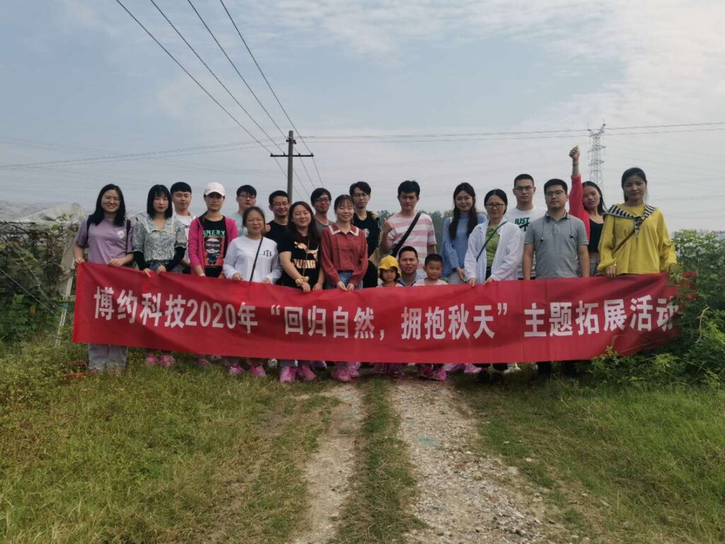 未来由你,博约启航 | 安徽博约信息科技股份有限公司2025年团队招募令